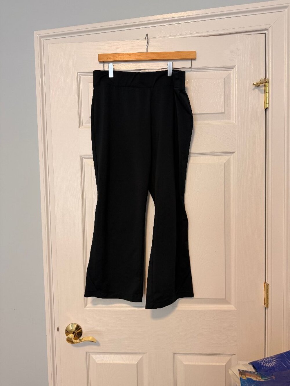 Danskin Athletic/Yoga Pants (Black)- L